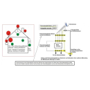 Blitzschutzkabel / Erdungskabel NYY-J 1x16mm&sup2; RE (massiver Innenleiter)